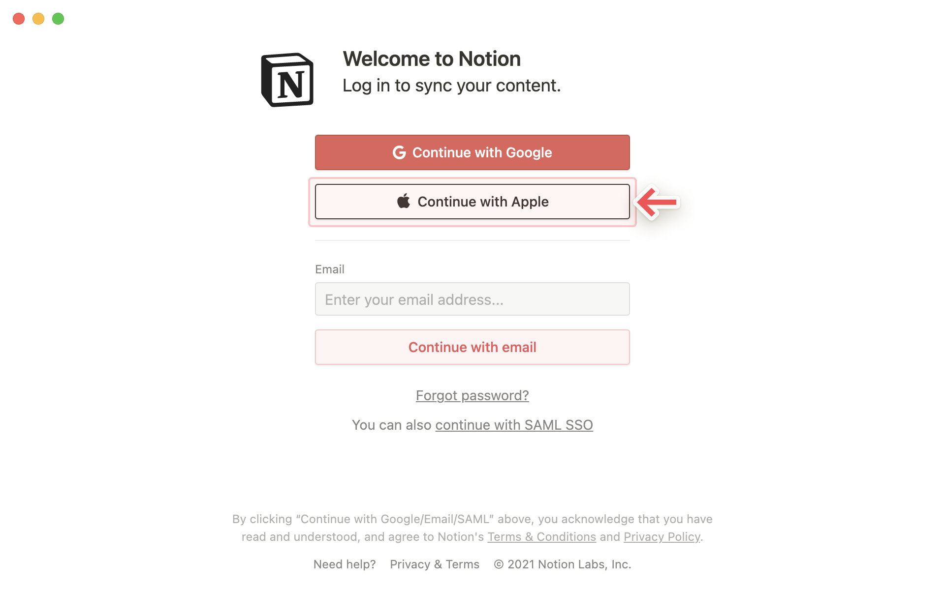 Which CMS is right for you? Notion or Wordpress?