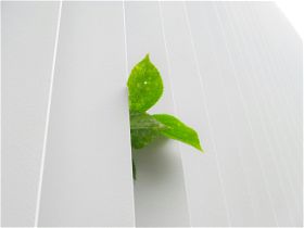 Sustainable and eco-friendly paper products for businesses