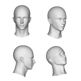 Le guide de pose qui va permettre de générer plusieurs fois le même visage dans différentes positions. 