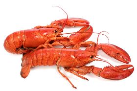 Langostino vs. Lobster: What's the difference?