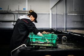 The Importance of Sustainable Seafood