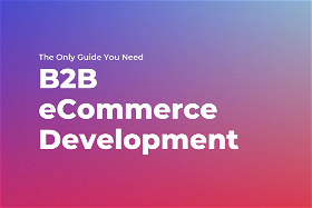 B2B eCommerce Development Agency: The Only Guide You Need