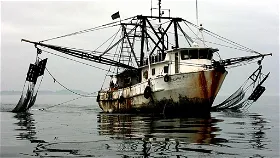 Illegal (IUU) Fishing: What Is It And How To Detect It