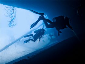 7 Best Dive Sites in Bonaire
