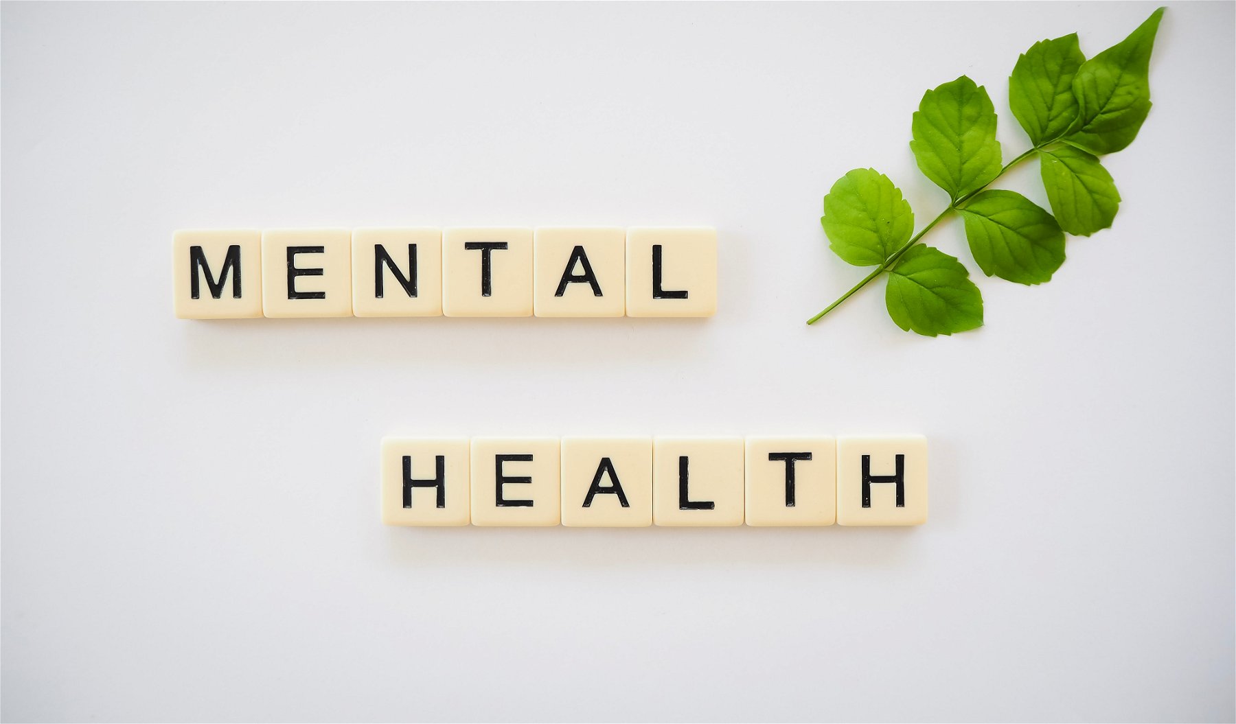 Mental Health Support for International Students in Ireland: Comprehensive Guide and Resources