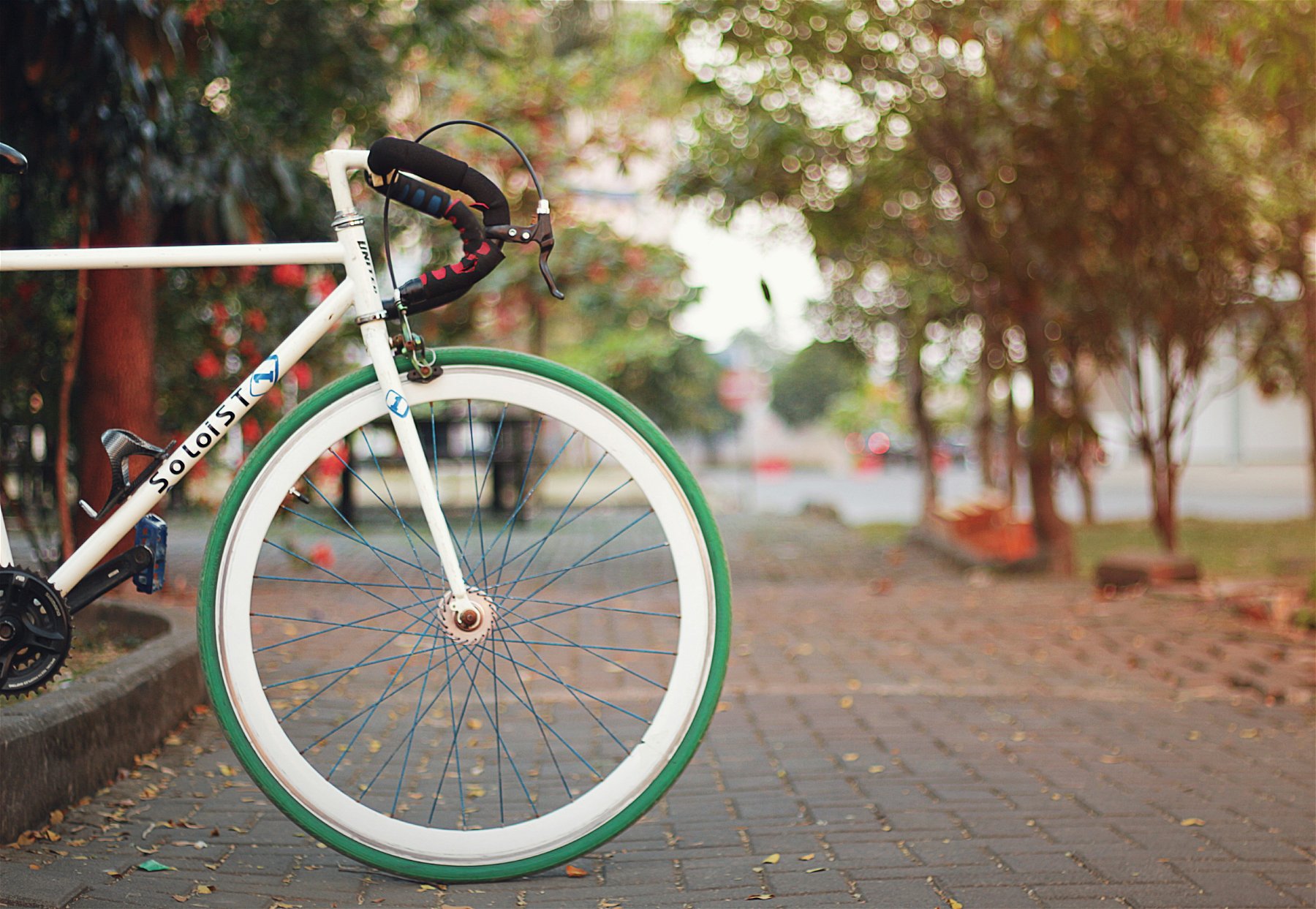 Unveiling the Revived Trend: The Surging Popularity of Bike Spokes in Urban Cycling Culture