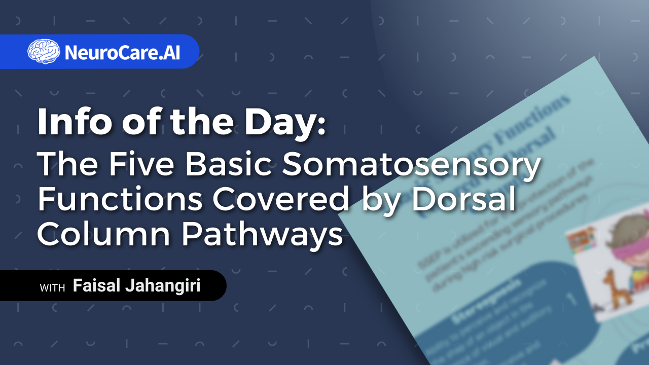 Info of the Day: "The Five Basic Somatosensory Functions Covered by Dorsal Column Pathways”