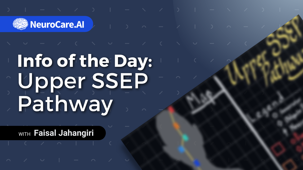 Info of the Day: "Upper SSEP Pathway”