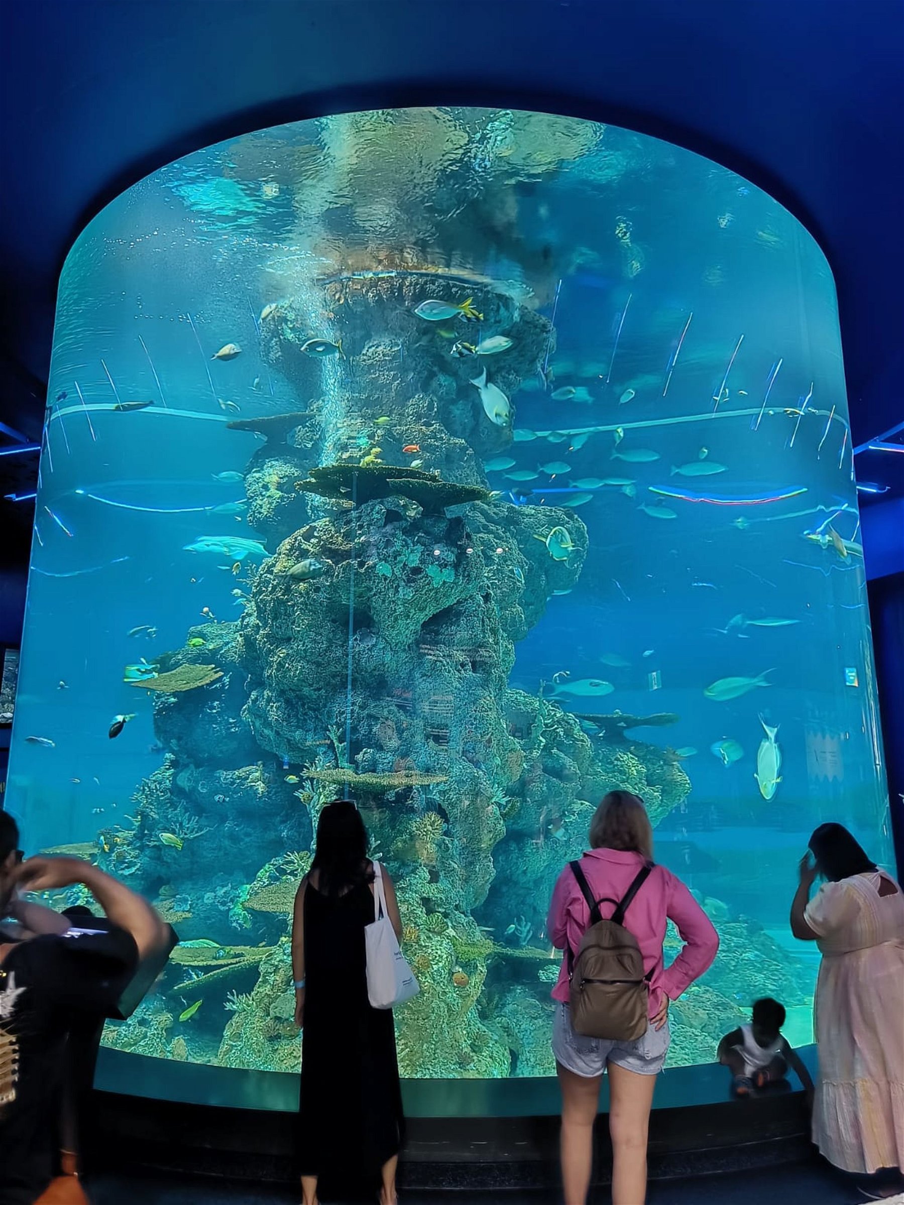 One of the best aquariums I’ve been in!