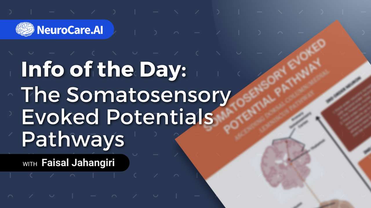 Info of the Day: "The Somatosensory Evoked Potentials Pathways”