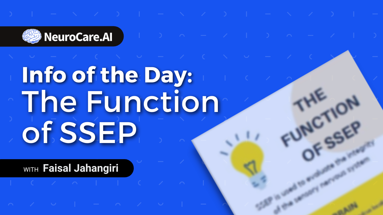 Info of the Day: "The Function of SSEP”