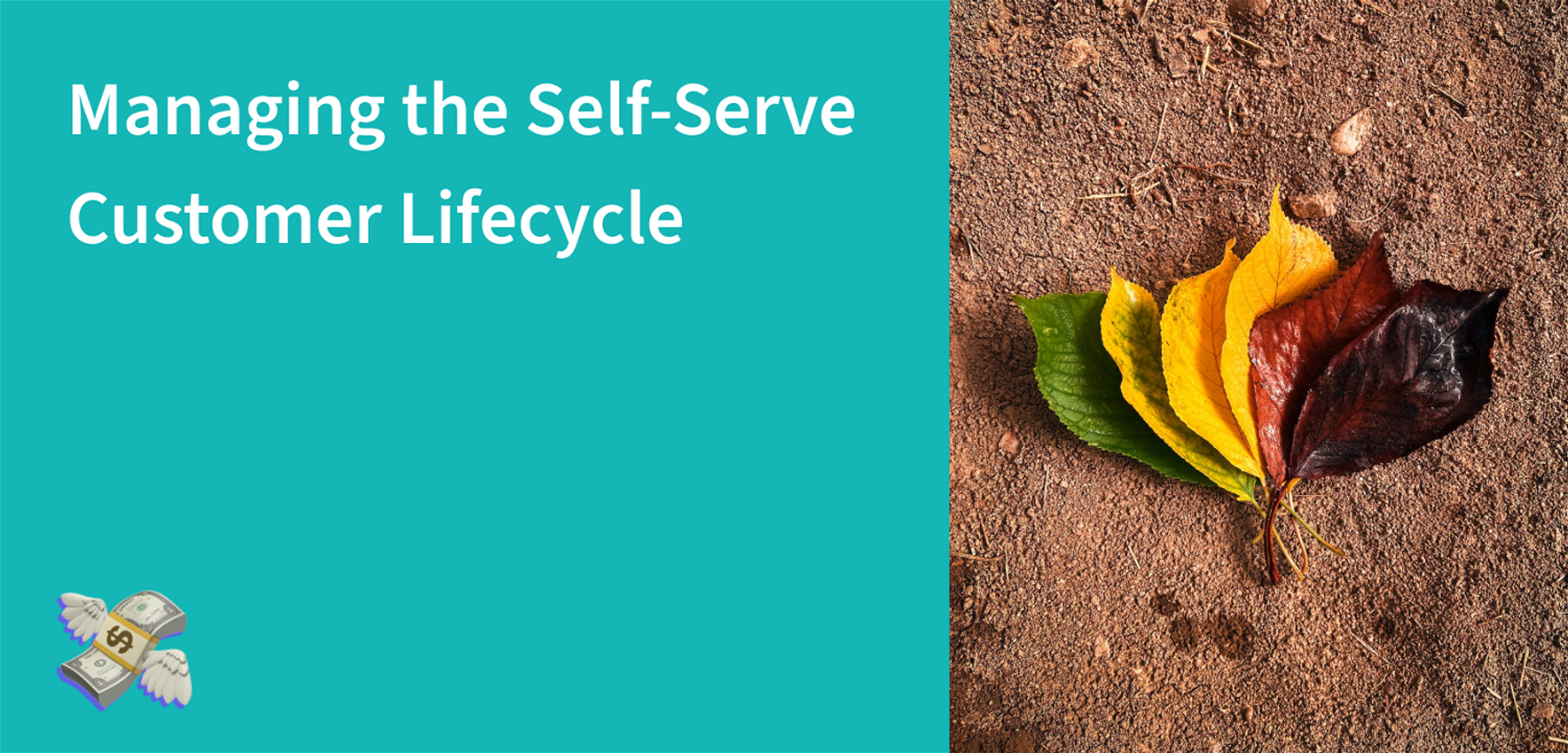 Managing the Self-Serve Customer Lifecycle