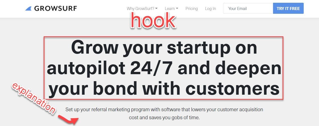 Hook your audience, then explain on your SaaS landing page.