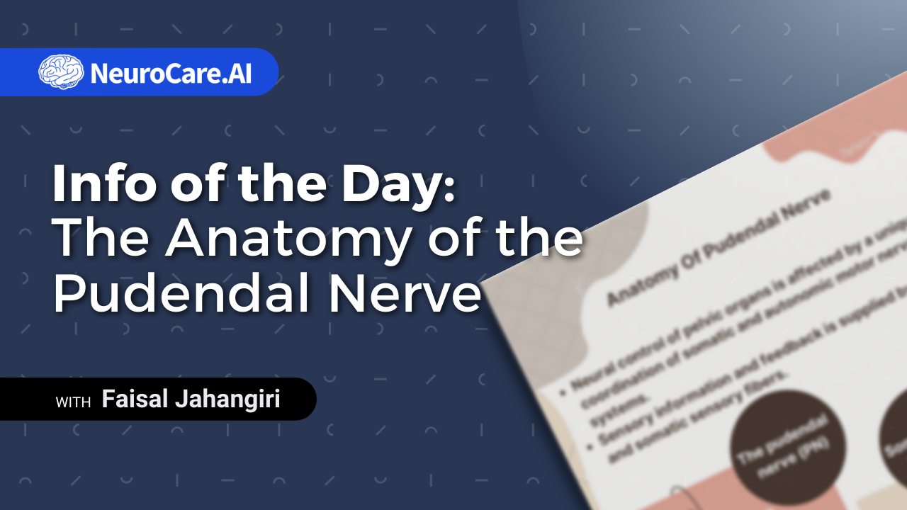 Info of the Day: "The "Anatomy of the Pudendal Nerve"