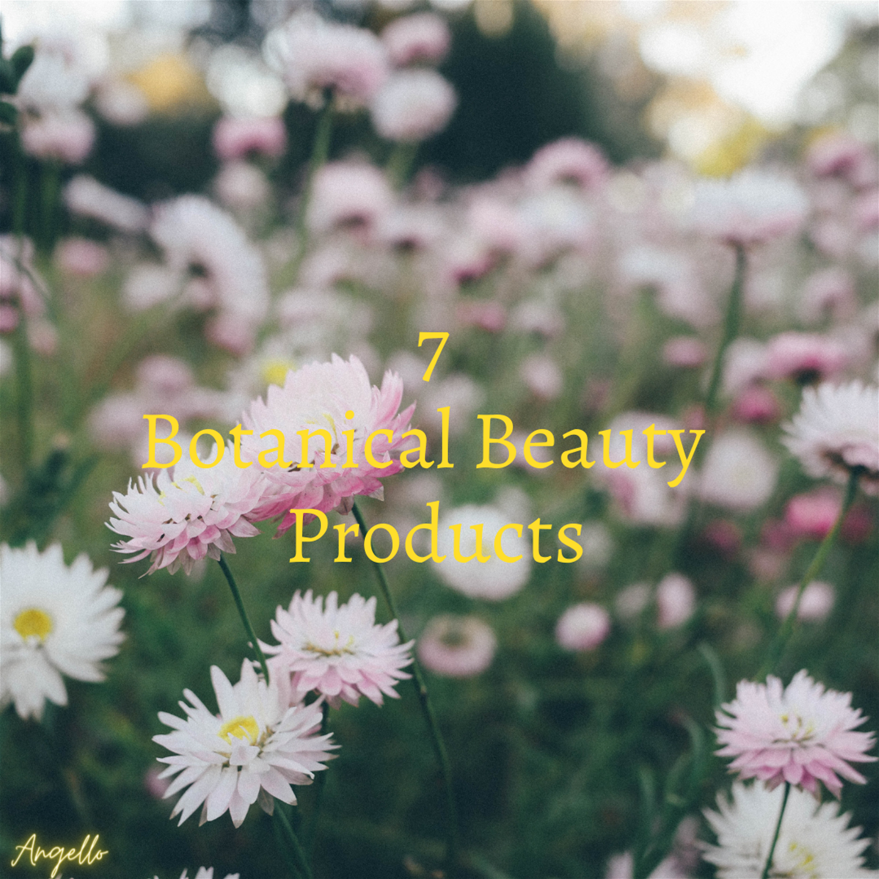 7 Botanical Beauty Products to Incorporate Into Your Routine