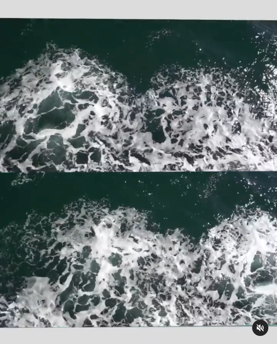 A study of the ocean. Watch the video here.