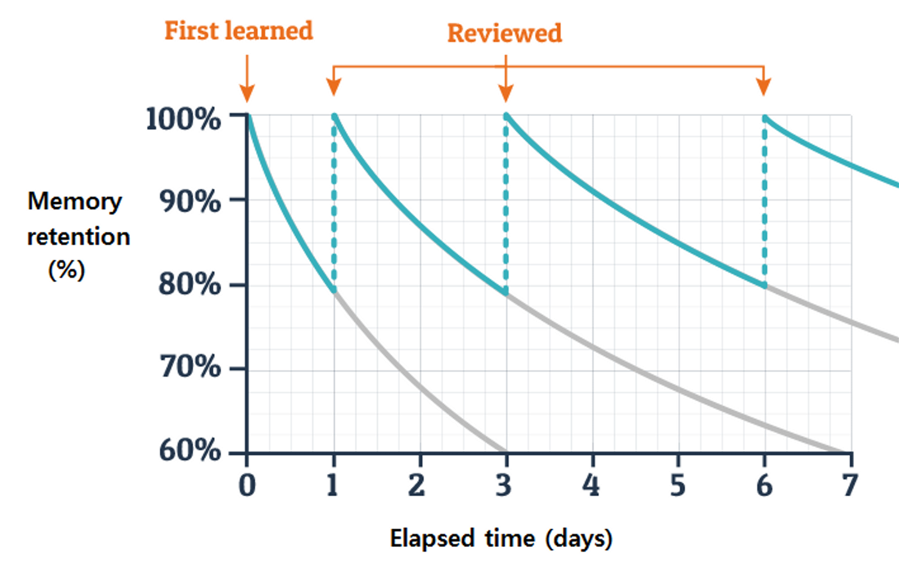 Forgetting curve after implementing Spaced Repetition