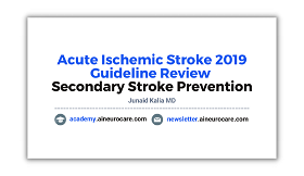 Secondary Stroke Prevention