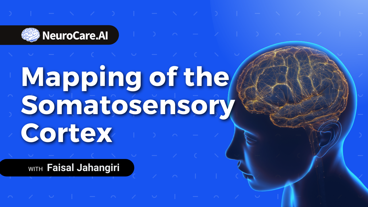 Mapping of the Somatosensory Cortex