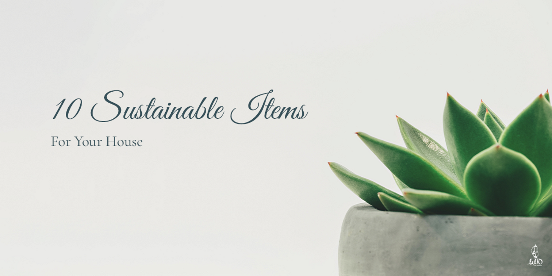 10 Sustainable Items For Your House