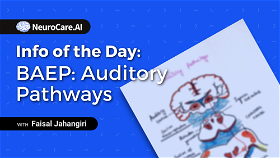 Info of the Day: "BAEP: Auditory Pathways”