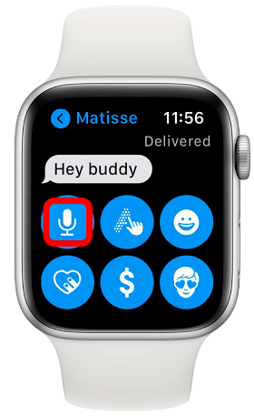 Apple Watch Interface