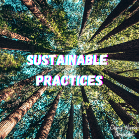 Sustainable Practices: Reducing Waste and Paving the Path to a Circular Fashion Industry