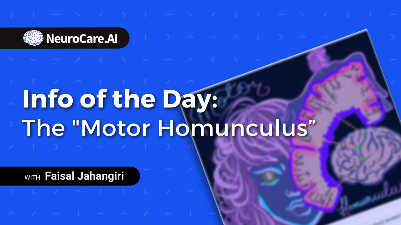 Info of the Day: The "Motor Homunculus”