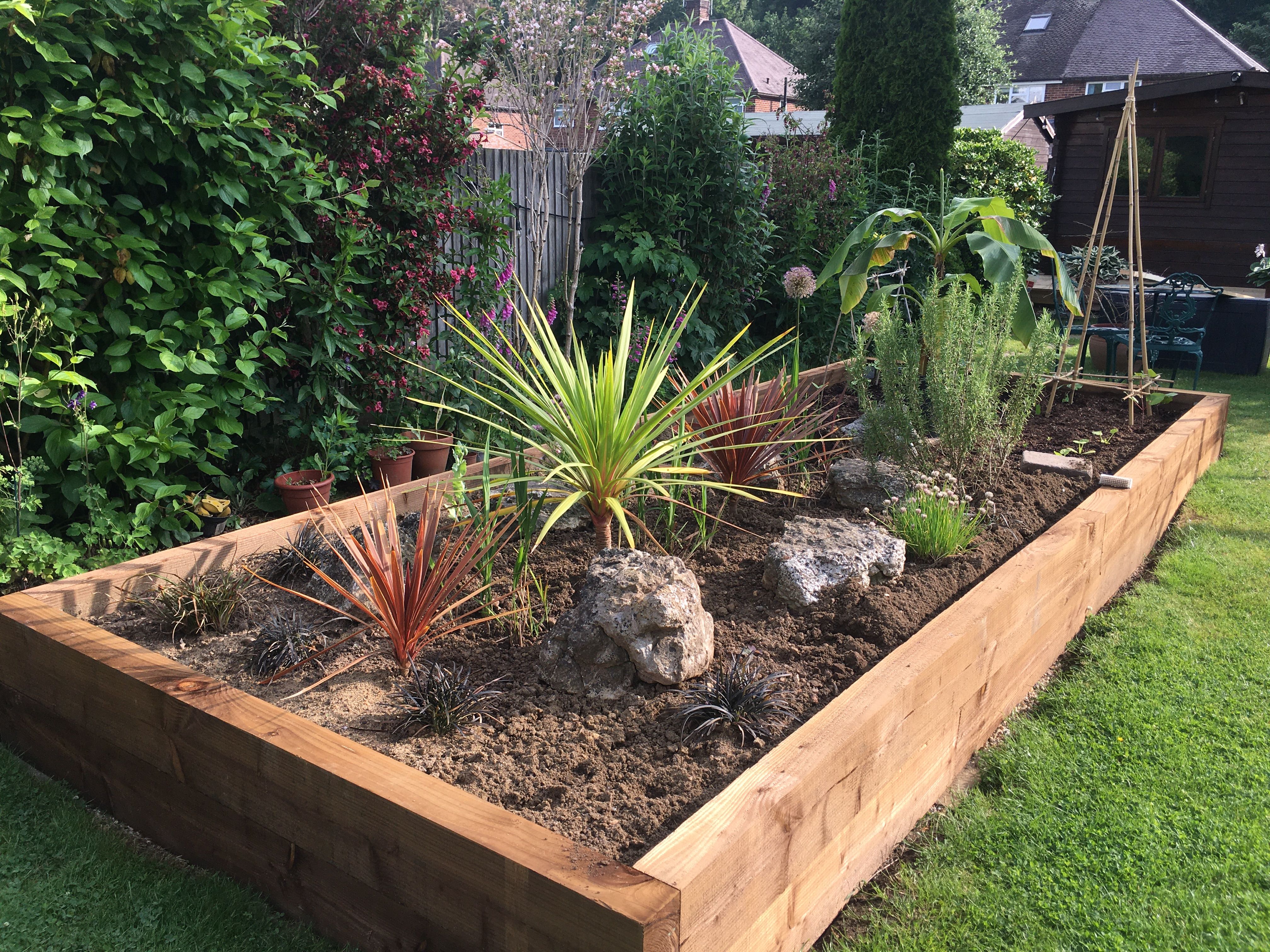 The new bed with plants starting to go in. 