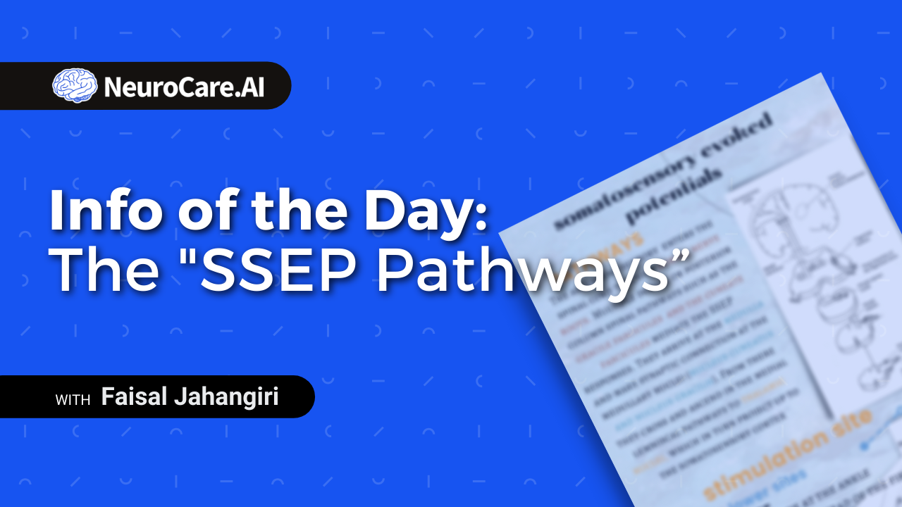 Info of the Day: The "SSEP Pathways”