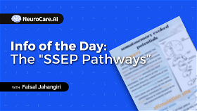 Info of the Day: The "SSEP Pathways”
