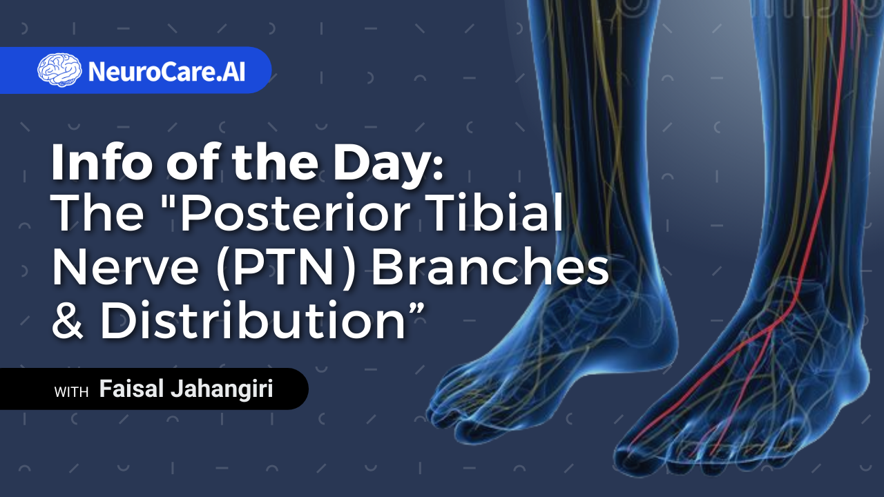 Info of the Day: The "Posterior Tibial Nerve (PTN) Branches & Distribution”