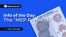 Info of the Day: The "MEP Pathways”