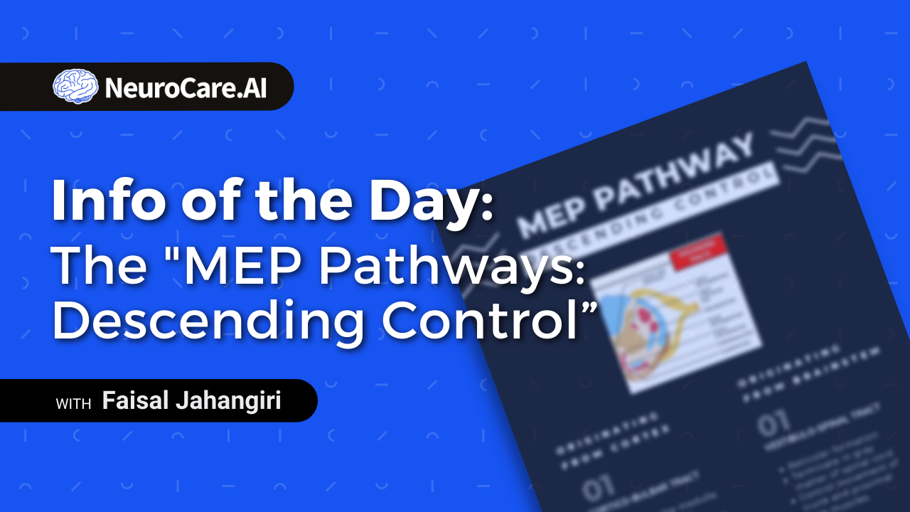 Info of the Day: The "MEP Pathways: Descending Control”