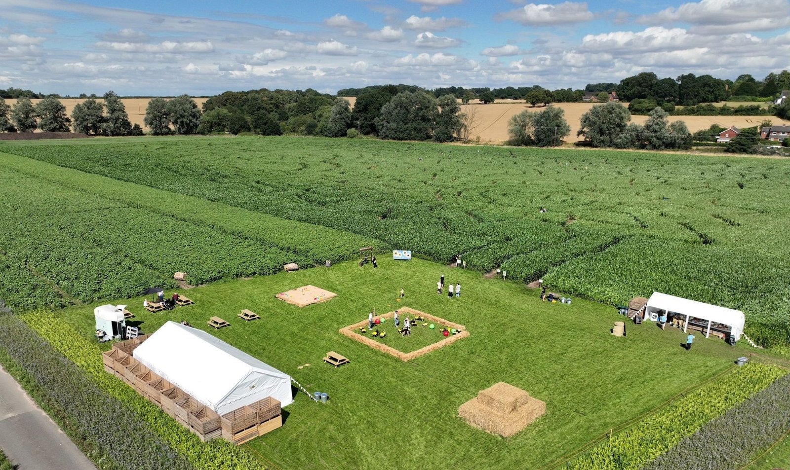 A Very Successful First Year for Lichfield Maize Maze With the Help of Beyonk