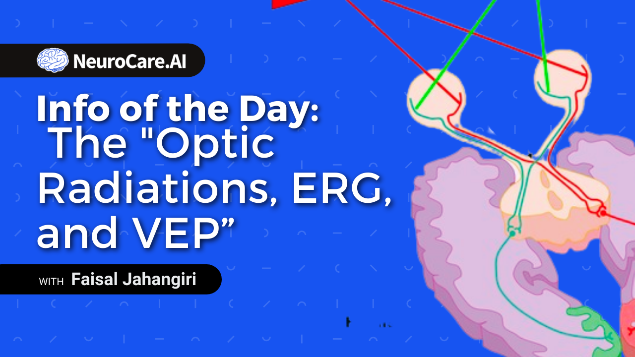 Info of the Day: The "Optic Radiations, ERG, and VEP”
