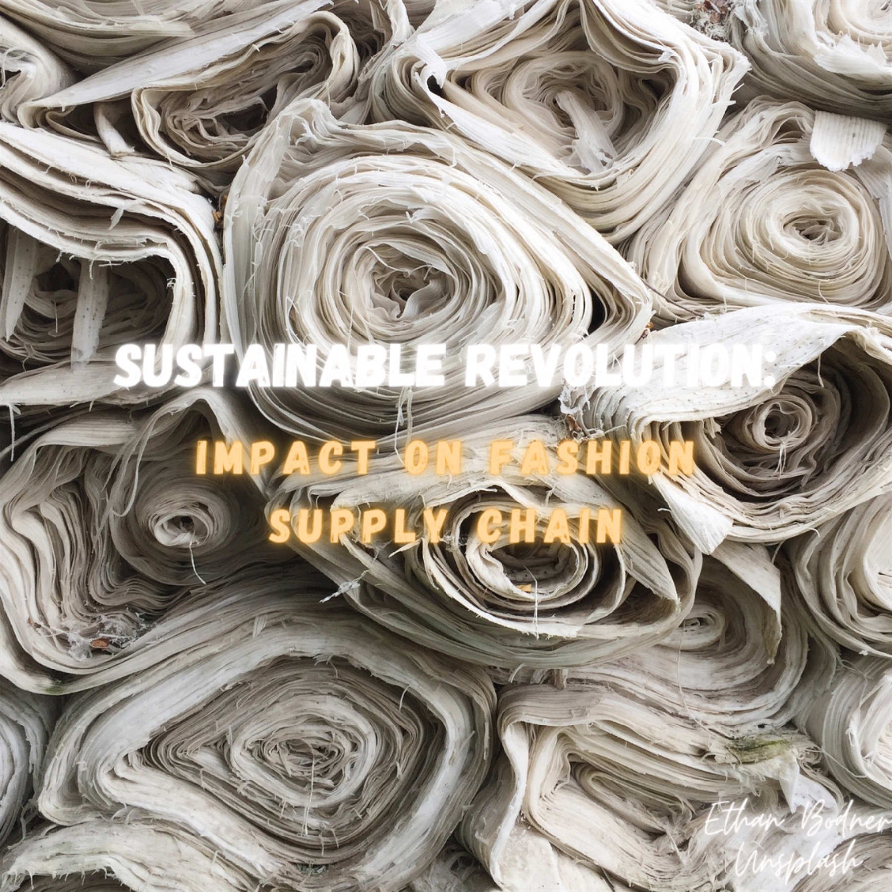 A Sustainable Revolution: The Impact of Sustainable Fashion on the Fashion Supply Chain