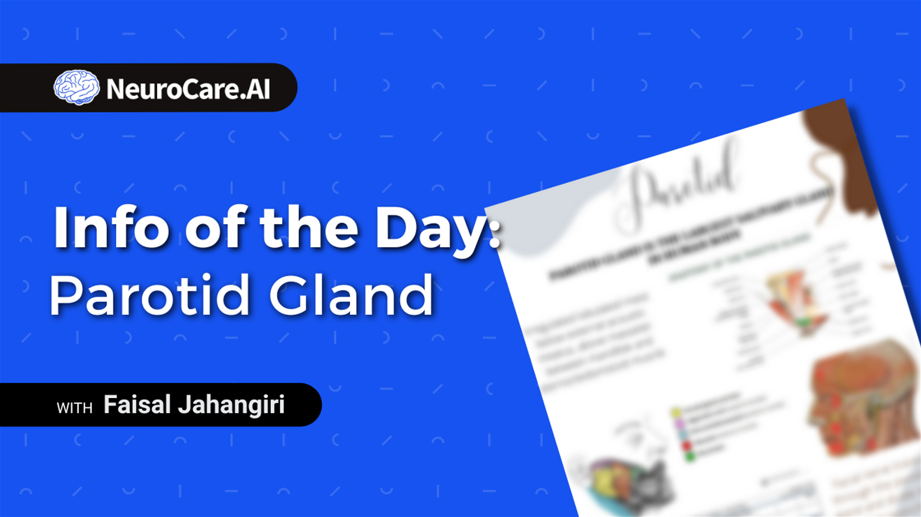 Info of the Day: "Parotid Gland"