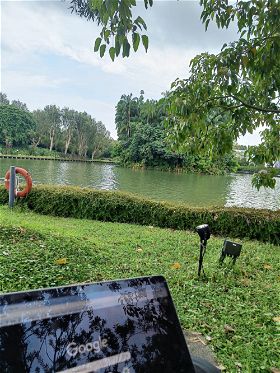 Sitting in Gradens by the Bay on almost every day and working from there!