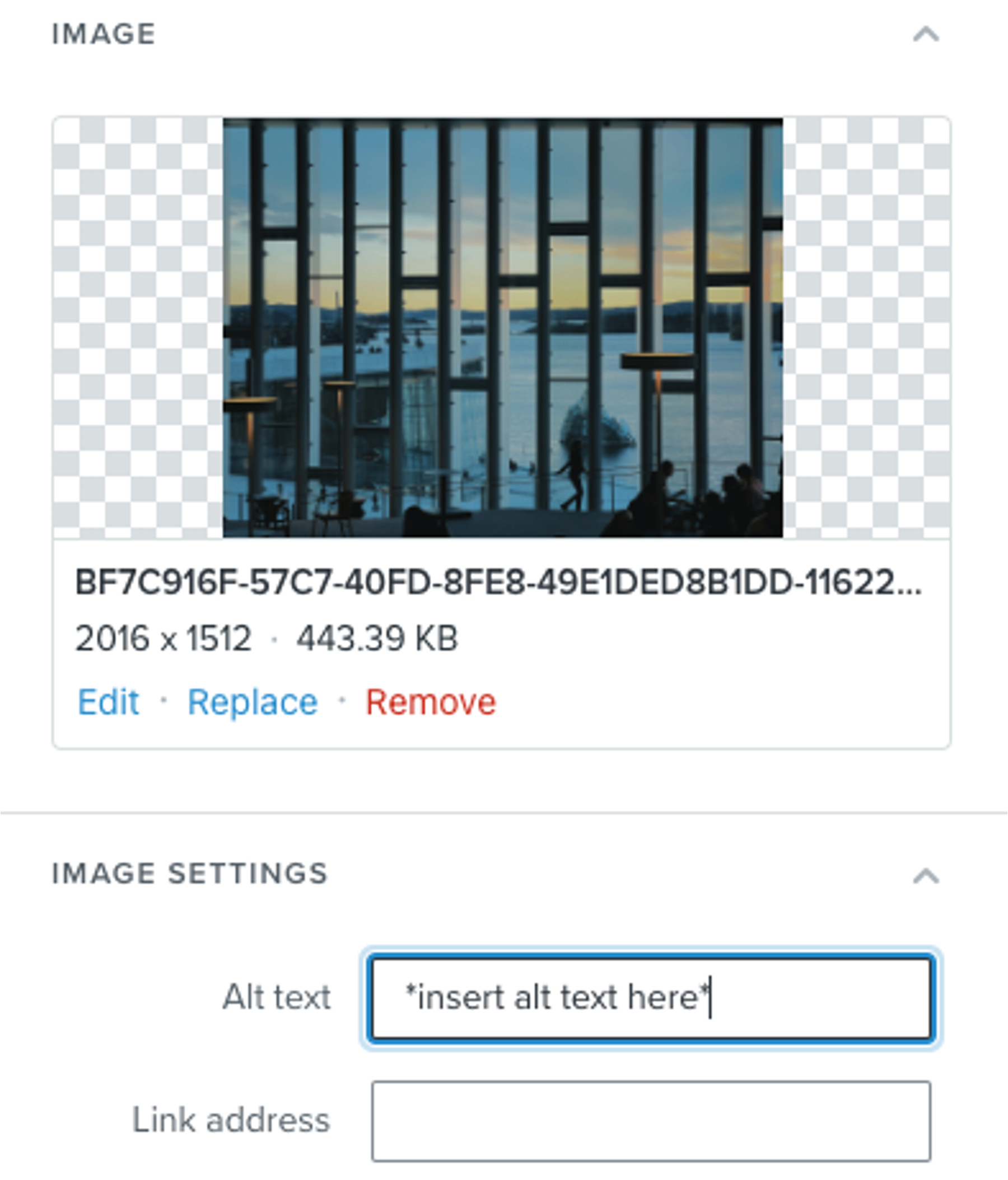 picture showing how and where to enter the alt text on image settings