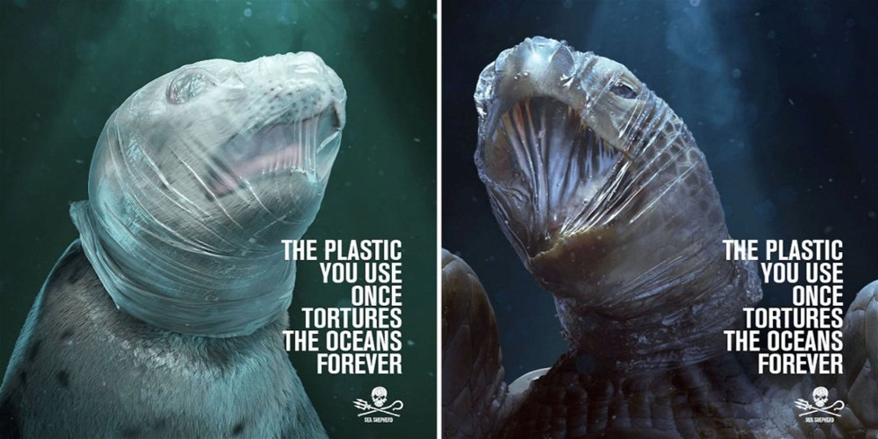 Campagne de Sea Shepherd contre la pollution des océans