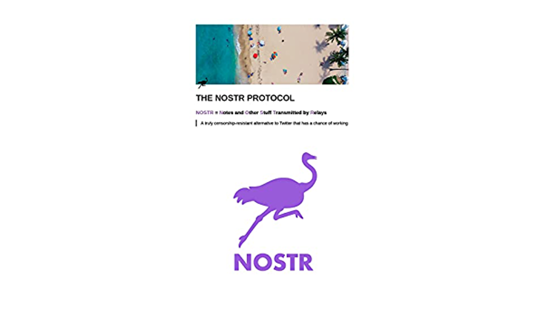 The NOSTR protocol: The entire Nostr protocol specification in one PDF.