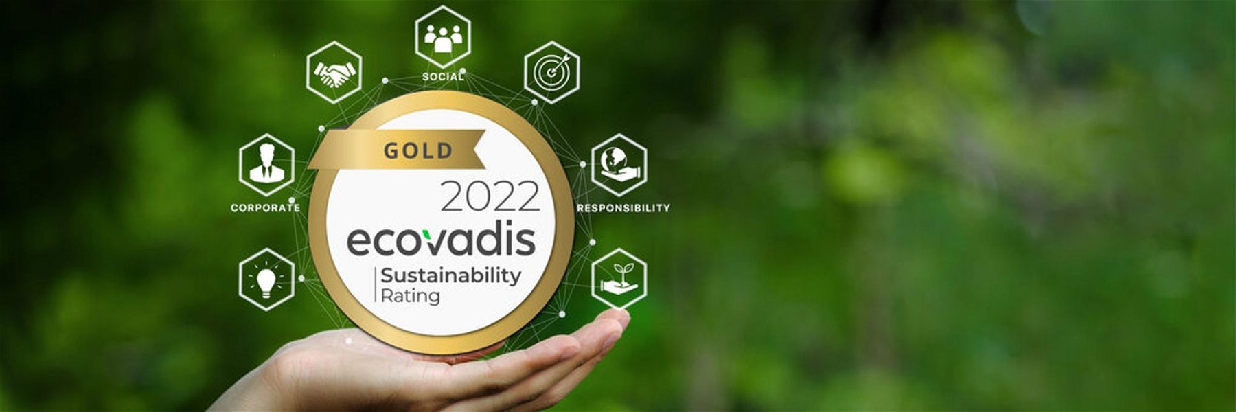 Unlocking the Competitive Edge: EcoVadis Emerges as the Sustainable Supply Chain Trendsetter